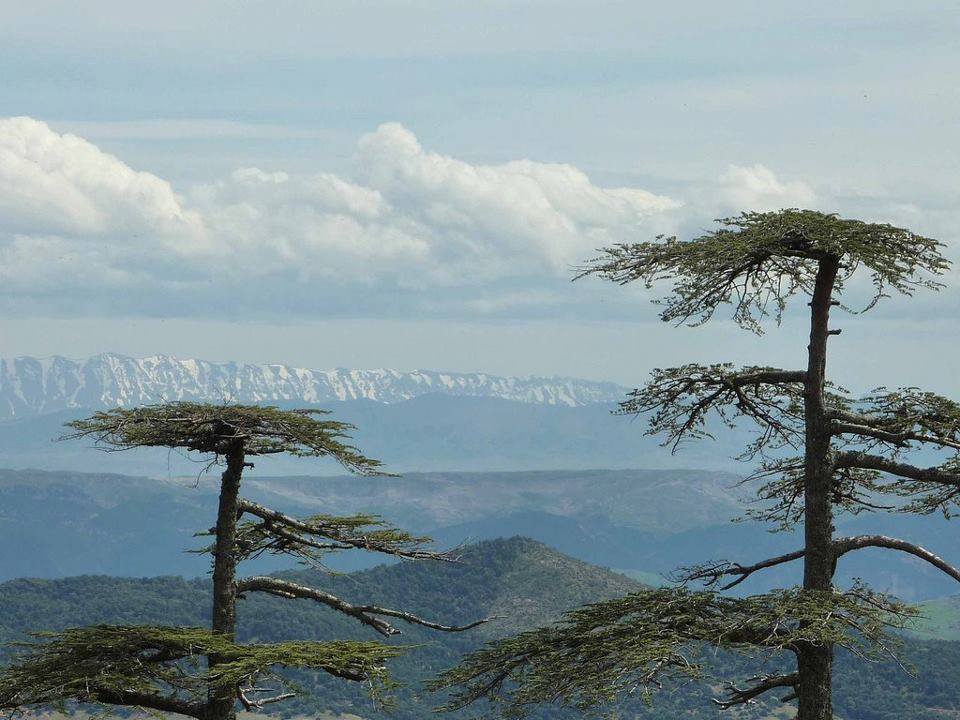 Paysage de Midelt